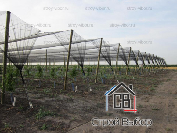 Защитная сетка 85 г/м2 (анти град) — 6x50м